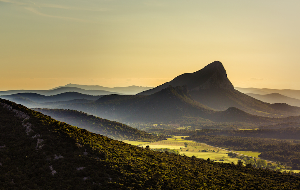 Pic saint loup forum.jpg