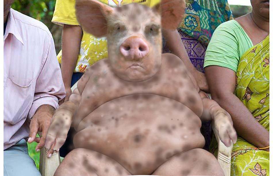 FatPorkboy copie.jpg